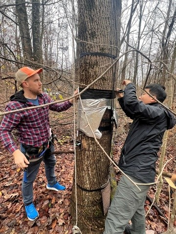 Matt Dannenberg and postdoc Feng Wang install dendrometers at the Morgan-Monroe State Forest in Indiana for the NSF grant