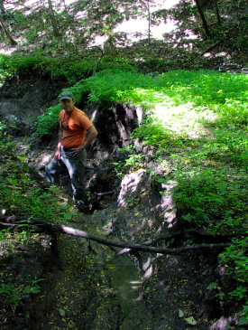 Man in Forest