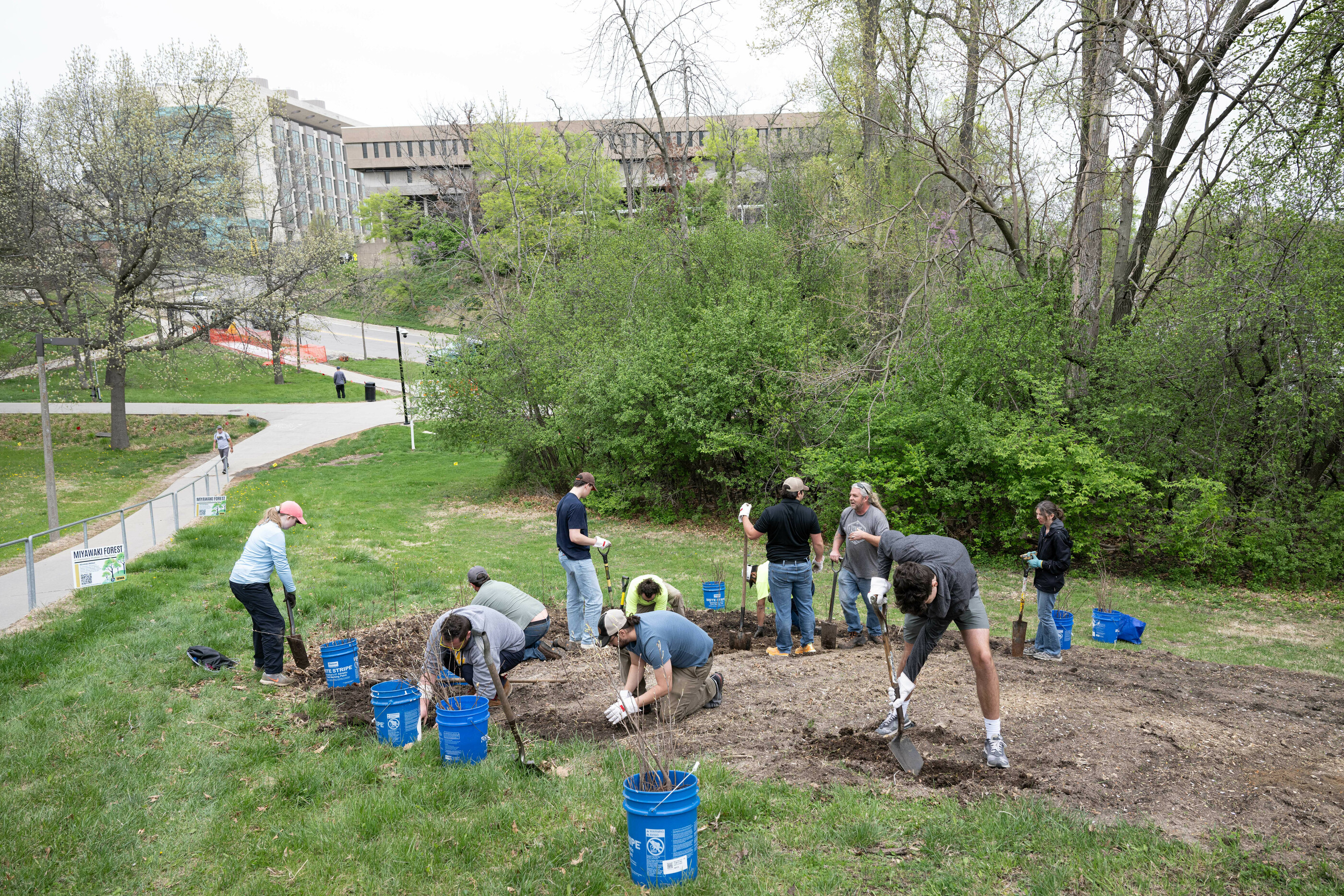 Volunteers planting Miyawaki Forest