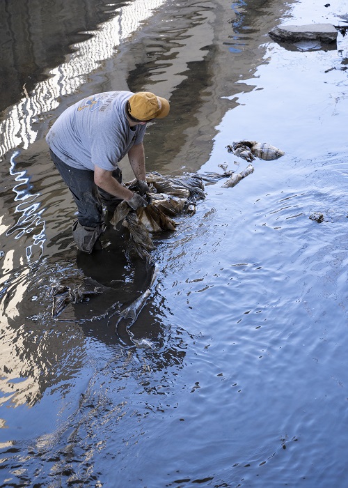 Michael pulling a large piece of trash out of the creek