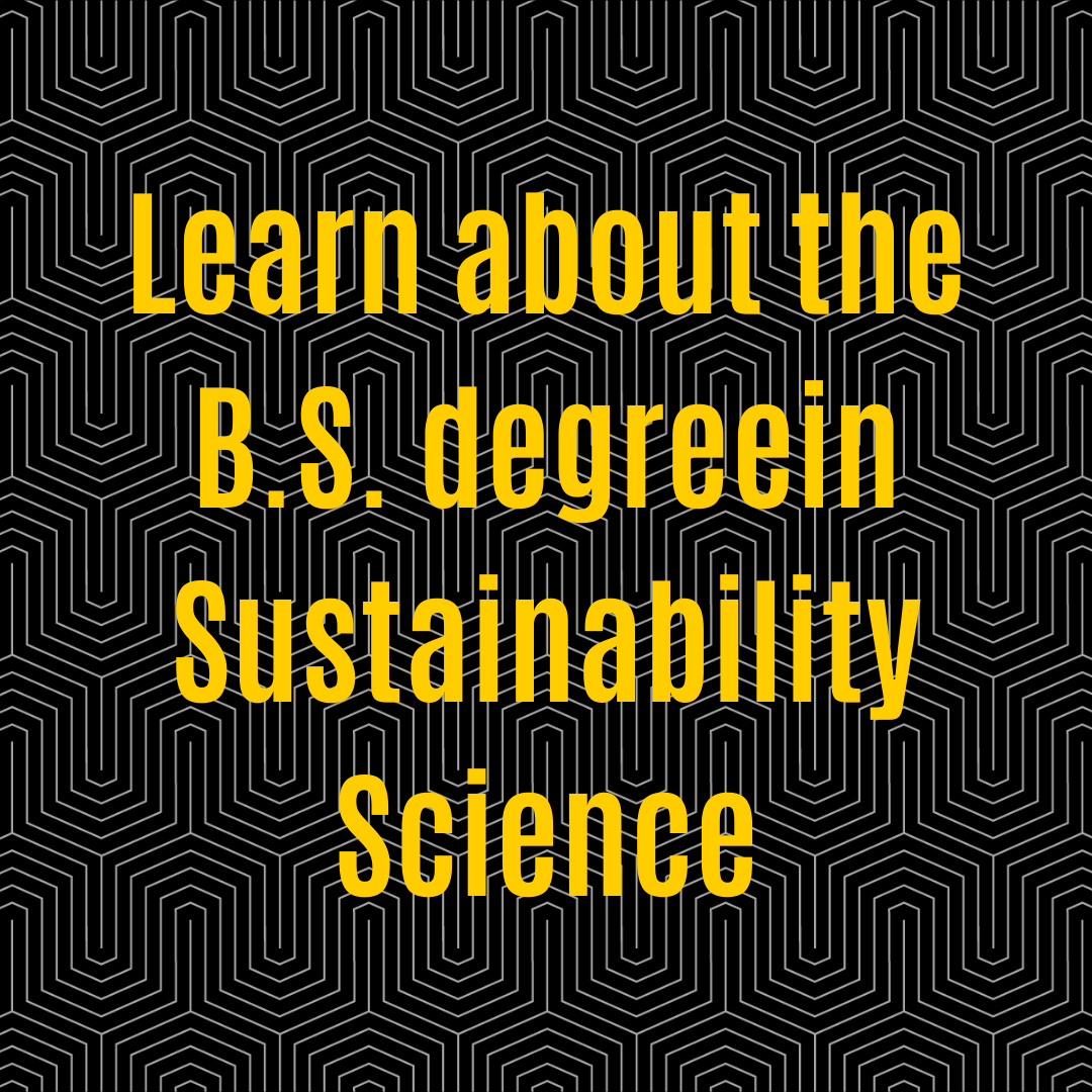 learn about the B.S. degree in Sustainability Science