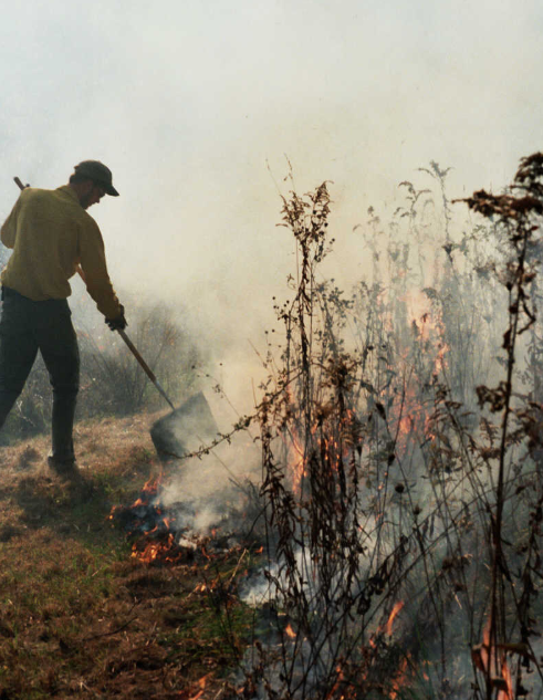 Person conducting prescribed controlled burn. 