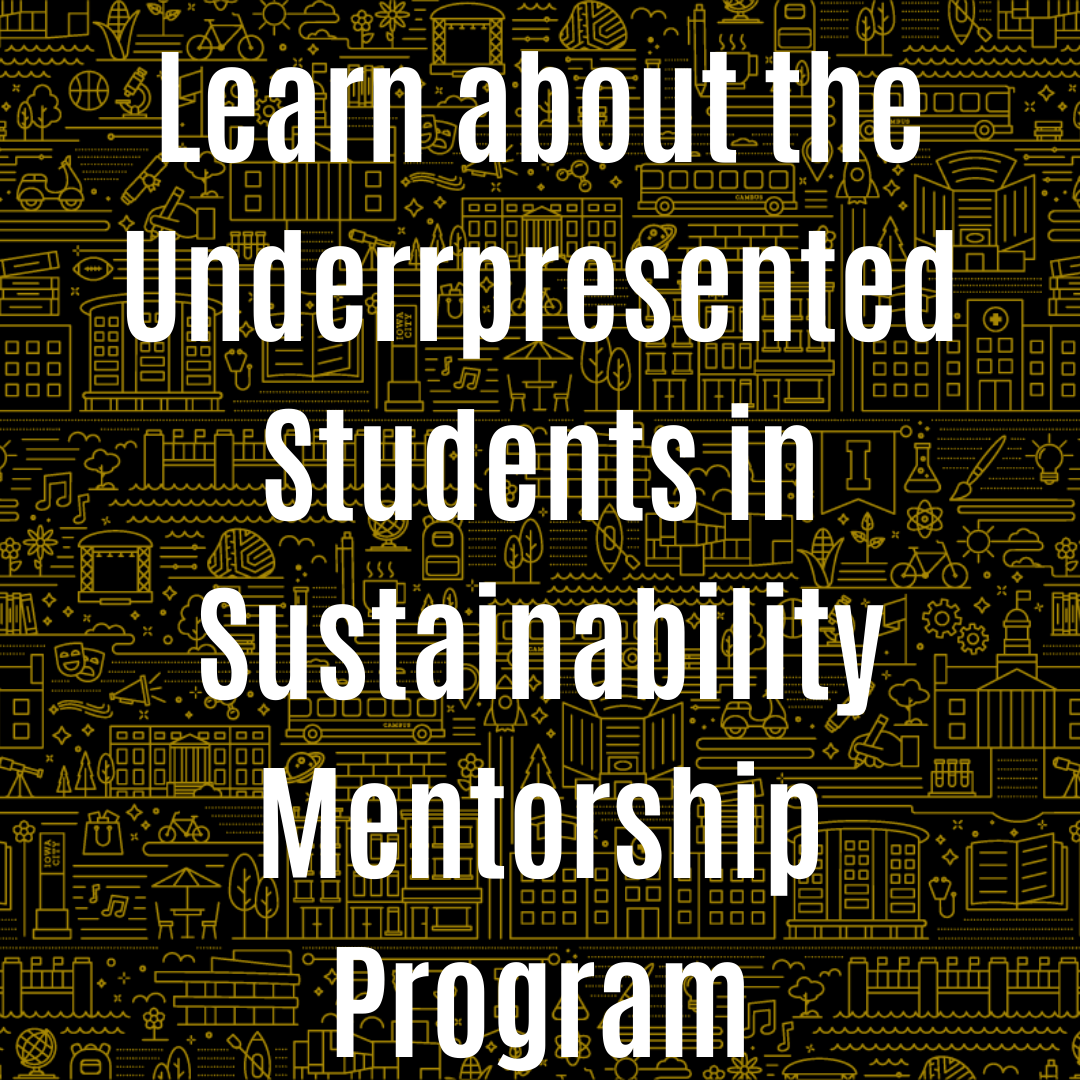 Learn about Underrepresented Students in Sustainability Mentorship Program