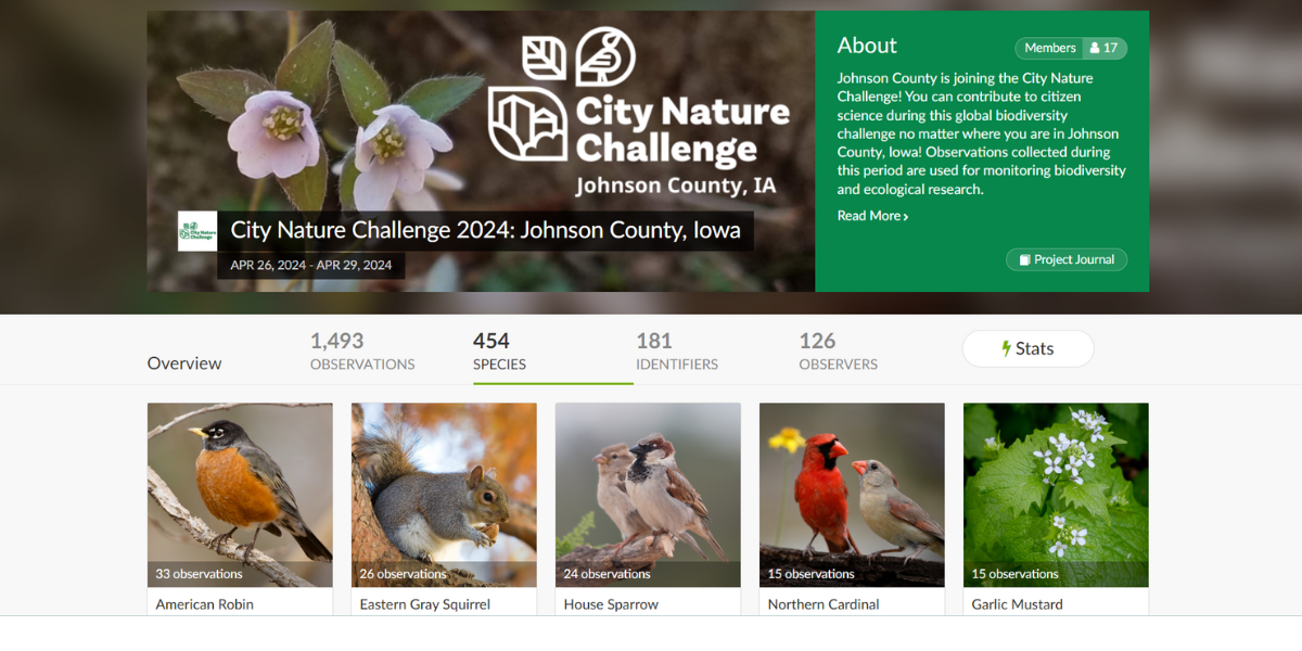 City nature challenge