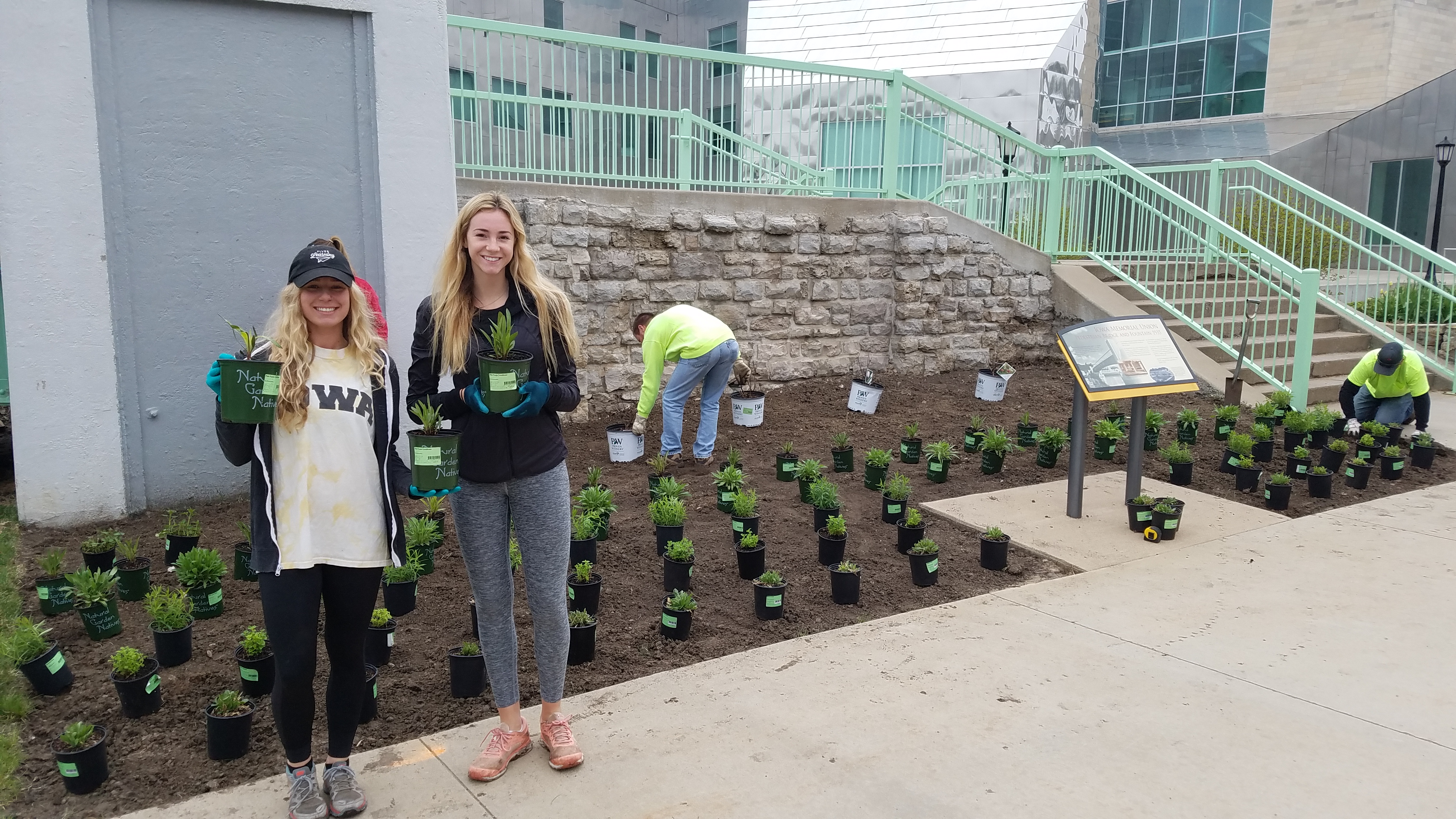 Students planting pollinator garden