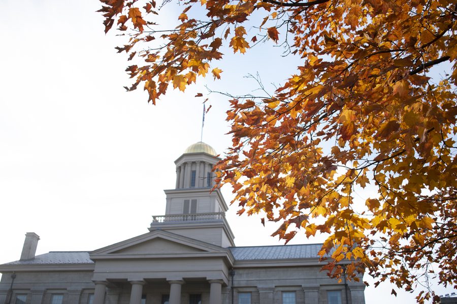 A maple tree is seen in front of the Old Capitol on Monday, Nov. 8, 2021.