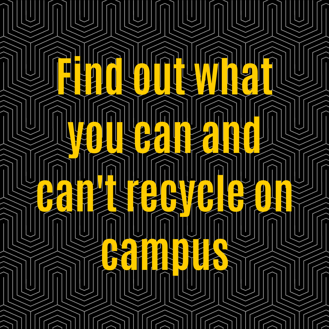 find out what you can and can't recycle on campus