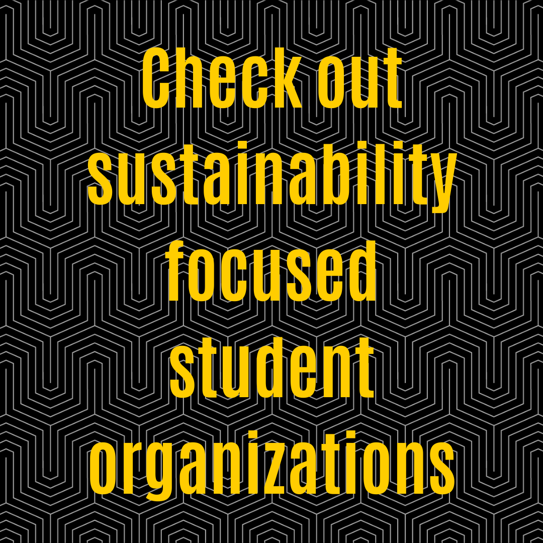 Check out sustainability focused student organizations