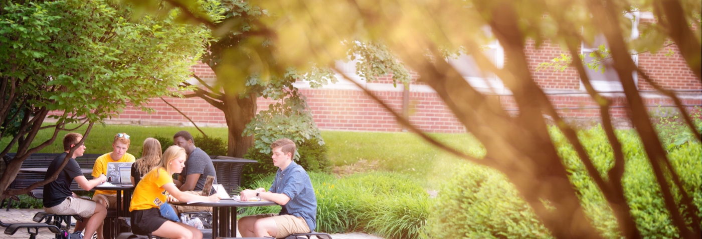 Students sitting at table around trees outside in summer