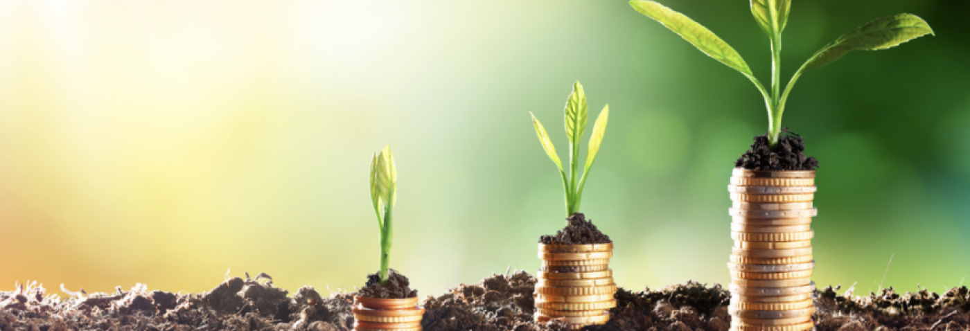 plants on coins