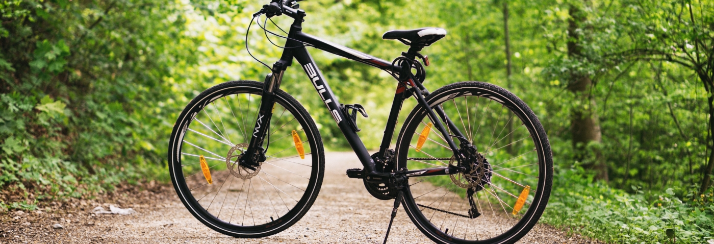 bicycle-daylight-forest