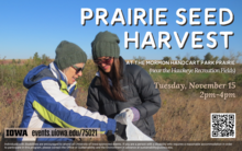 Prairie Seed Harvest