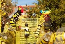Pollinator Crafts and Drive-In Movie