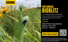 2nd Annual BioBlitz at the Ashton Prairie Living Laboratory