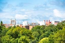 West Campus Tree Tour