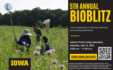 5th Annual BioBlitz at the Ashton Prairie Living Laboratory