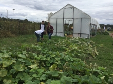 Student Garden