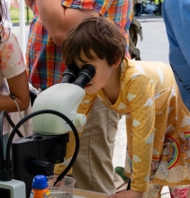Student looks through microscope at BioBlitz