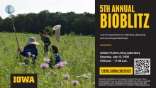 bioblitz 2025