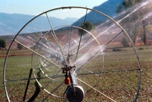 irrigation