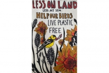 live plastic free