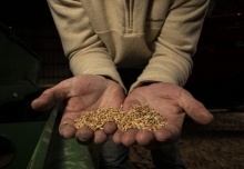 farmer holding seeds