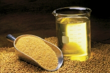 soybean oil