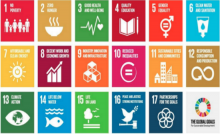 sustainable development goals