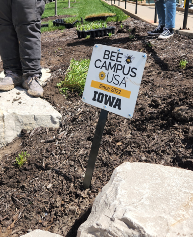 Bee Campus USA Sign