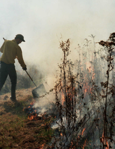 Man Fighting Wildfire