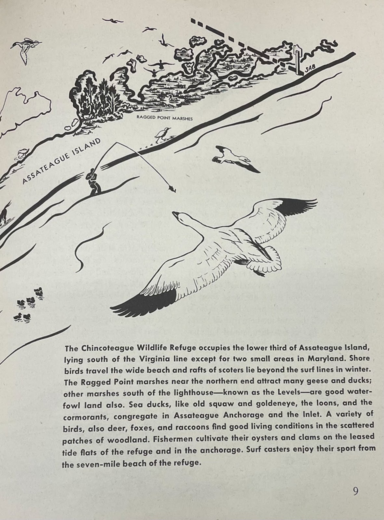 Shirley Briggs and Rachel Carson Connection
