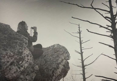 Shirley Briggs and Rachel Carson Connection