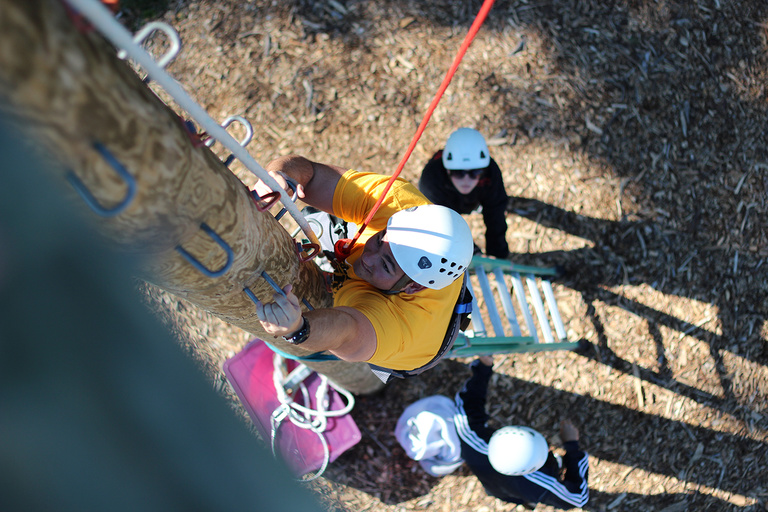 People climbing a pole