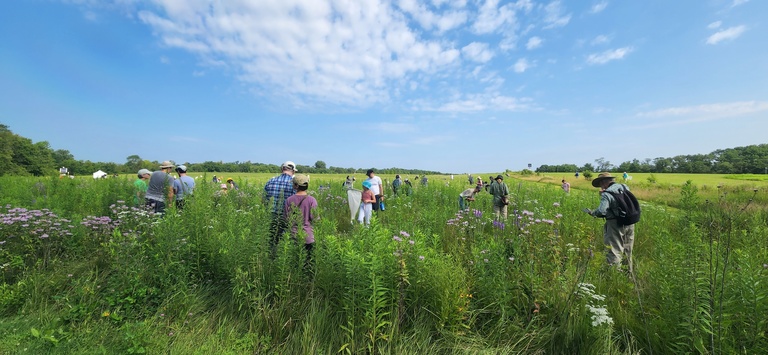 People wandering in the prairie