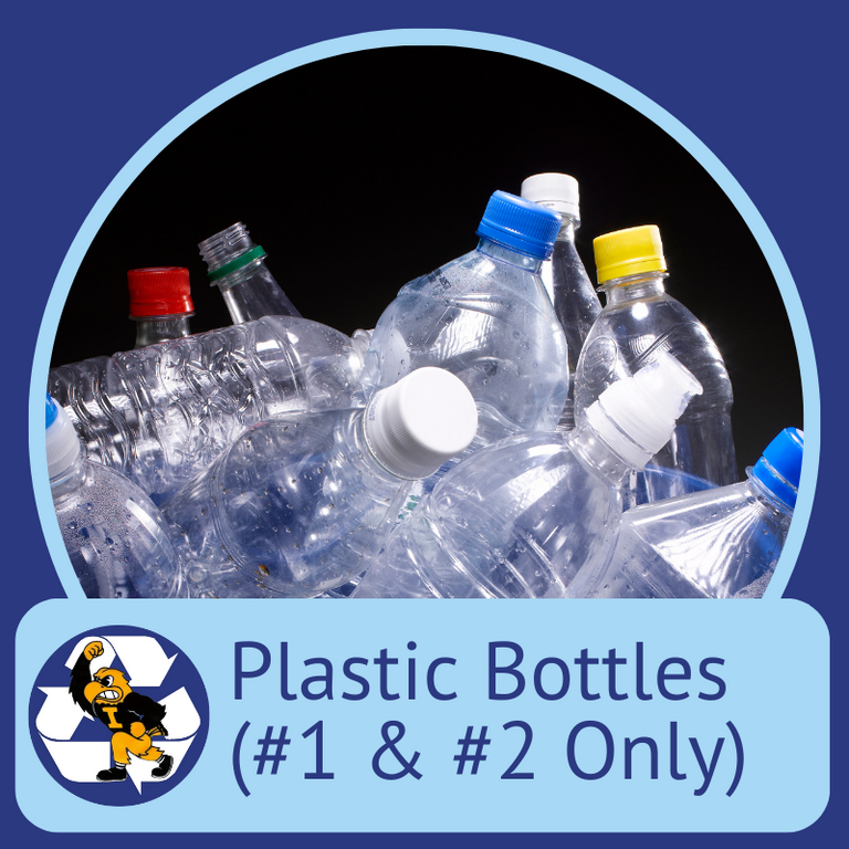 Plastic Bottles #1