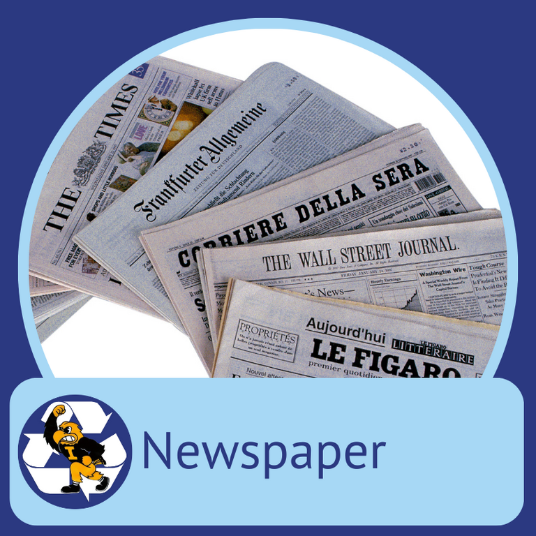 Newspaper