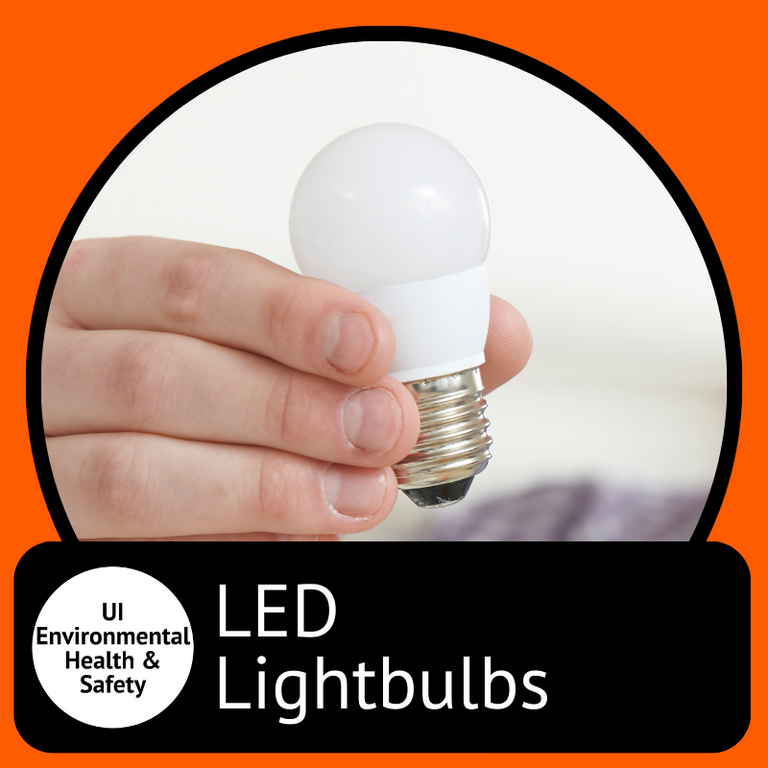 LED Lightbulbs