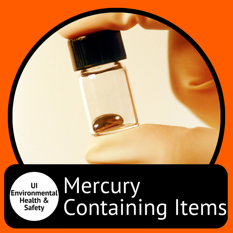 Mercury Containing Items