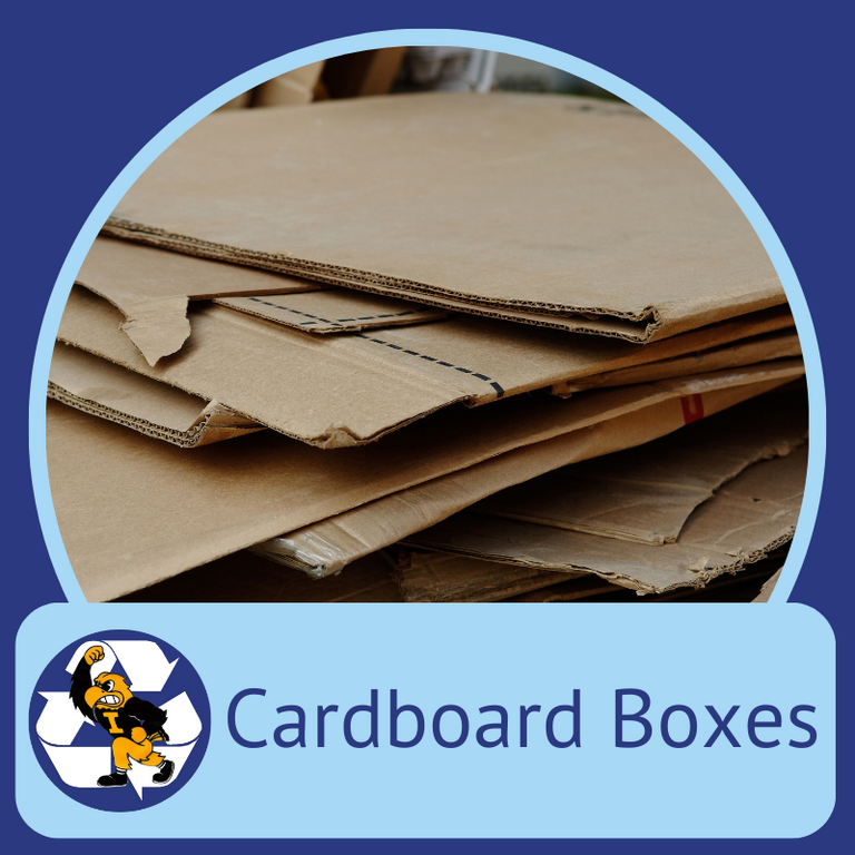 Cardboard Boxes