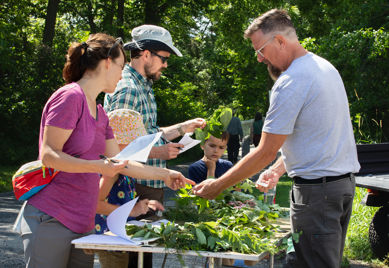 Participants talking with campus arborist and looking at tree samples