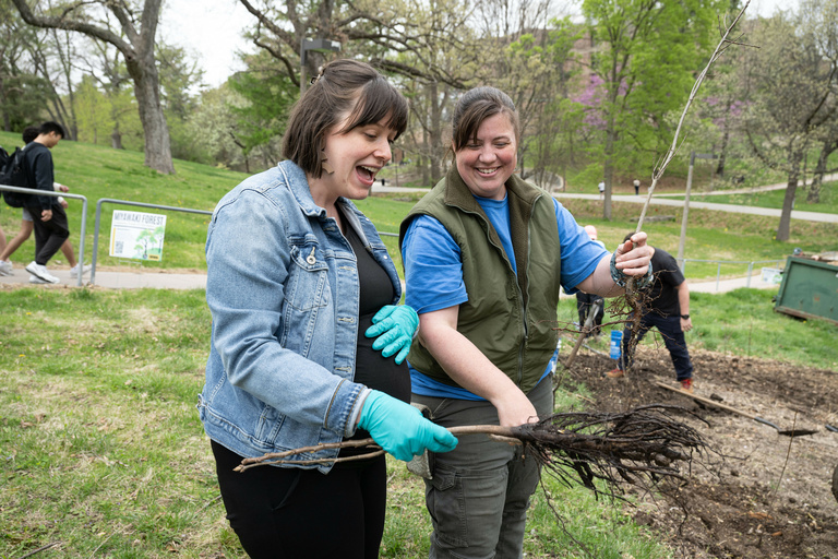 Volunteers planting Miyawaki Forest