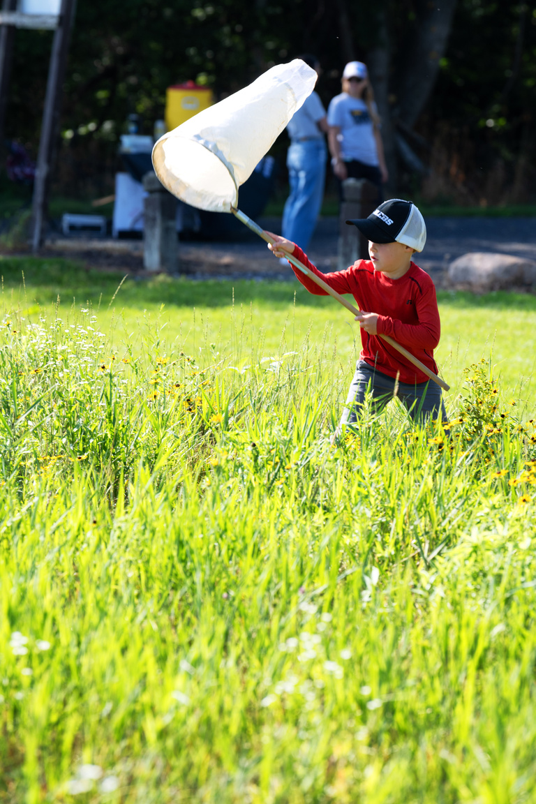 boy with net at BioBlitz