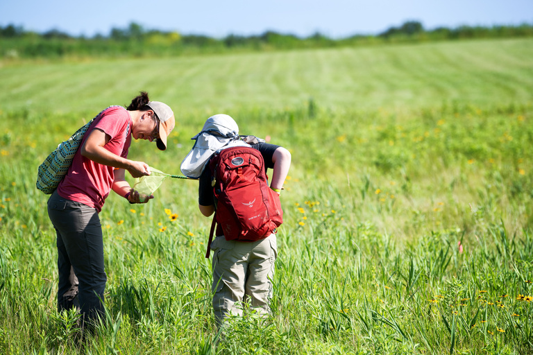 people in field with net