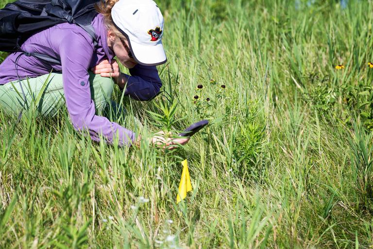 woman observing plant in field