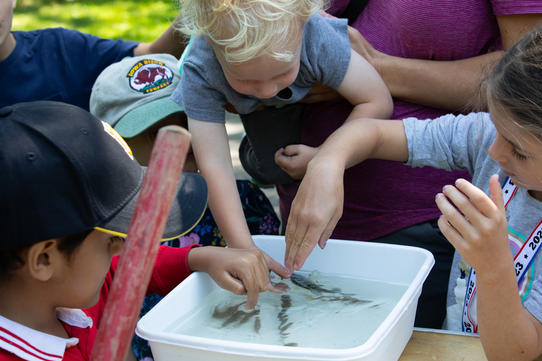 children at BioBlitz event