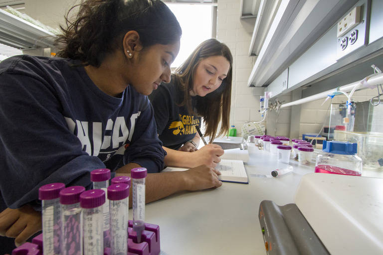 Women working in lab