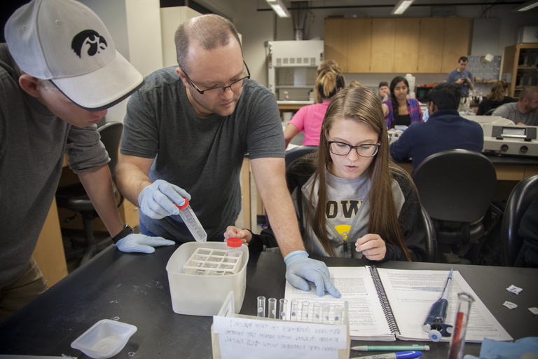 Group working in lab