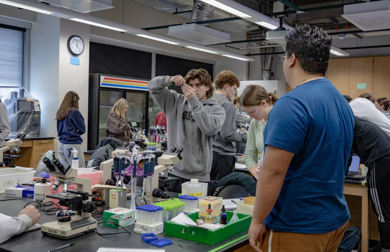 Group working in lab