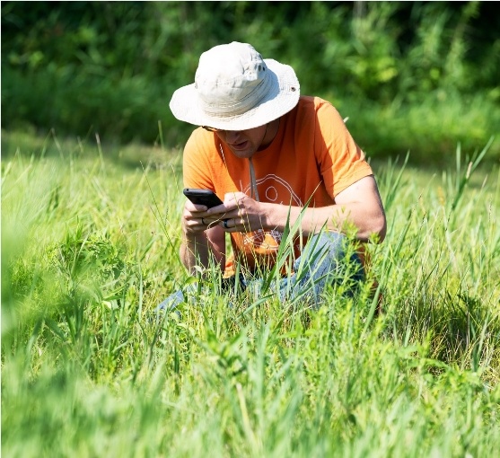 man in field at Bioblitz