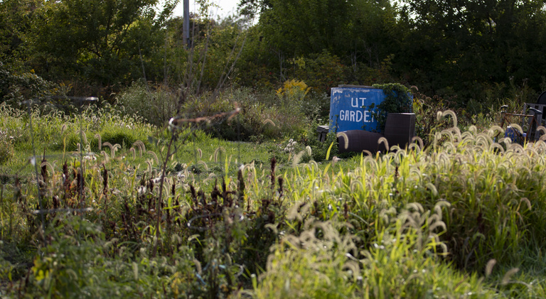 Student Garden Lawn Image